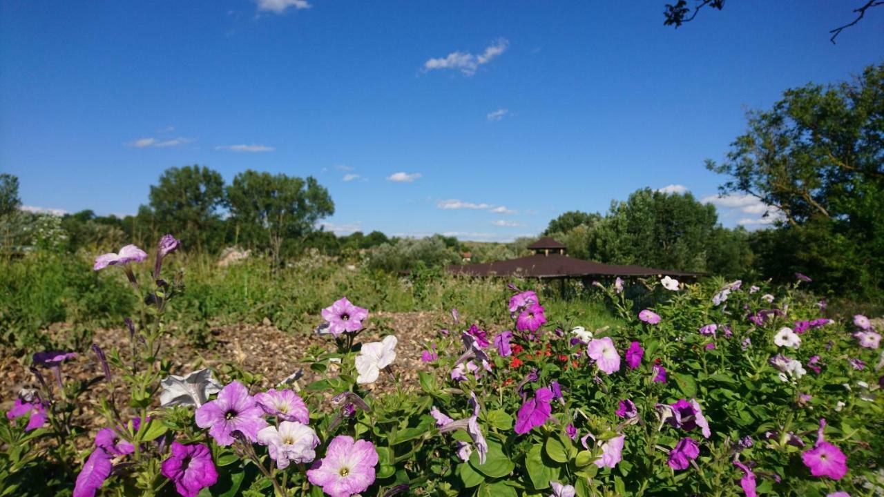 Szellos Ret Camping Balvanyos Exterior photo