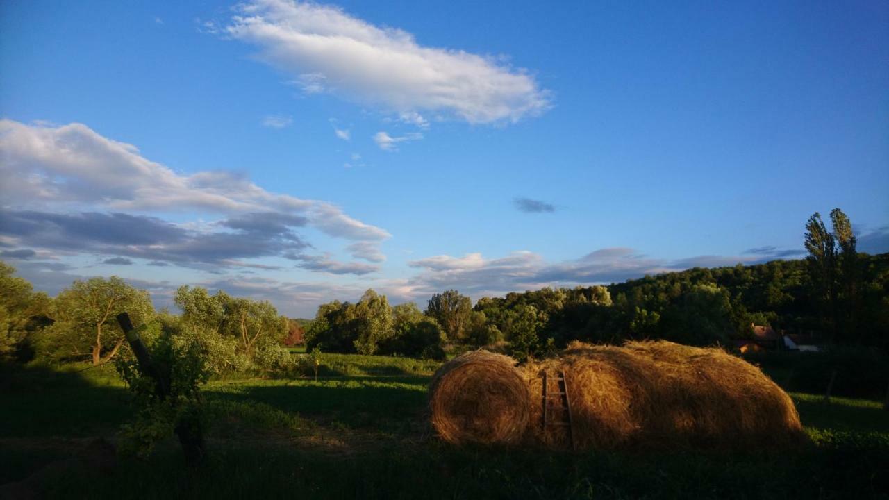 Szellos Ret Camping Balvanyos Exterior photo